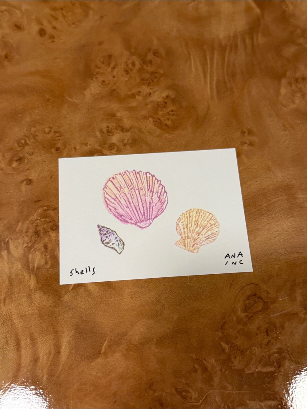 Inciardi Mini Print Shells